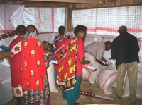 The right amount of food is placed in special trays. This keeps the food sanitary and prevents waste. Every seed counts!