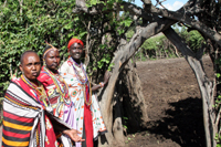 The entrance ot the AIA gardens.